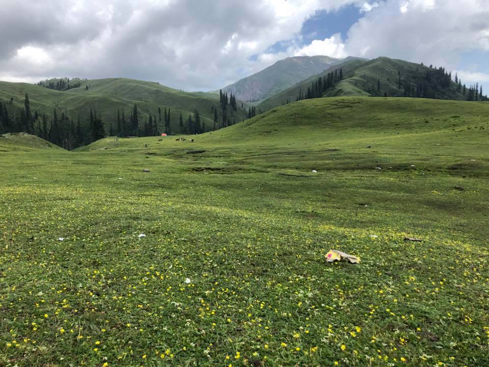 Colors of Naran