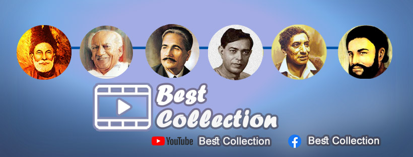 Best Collection