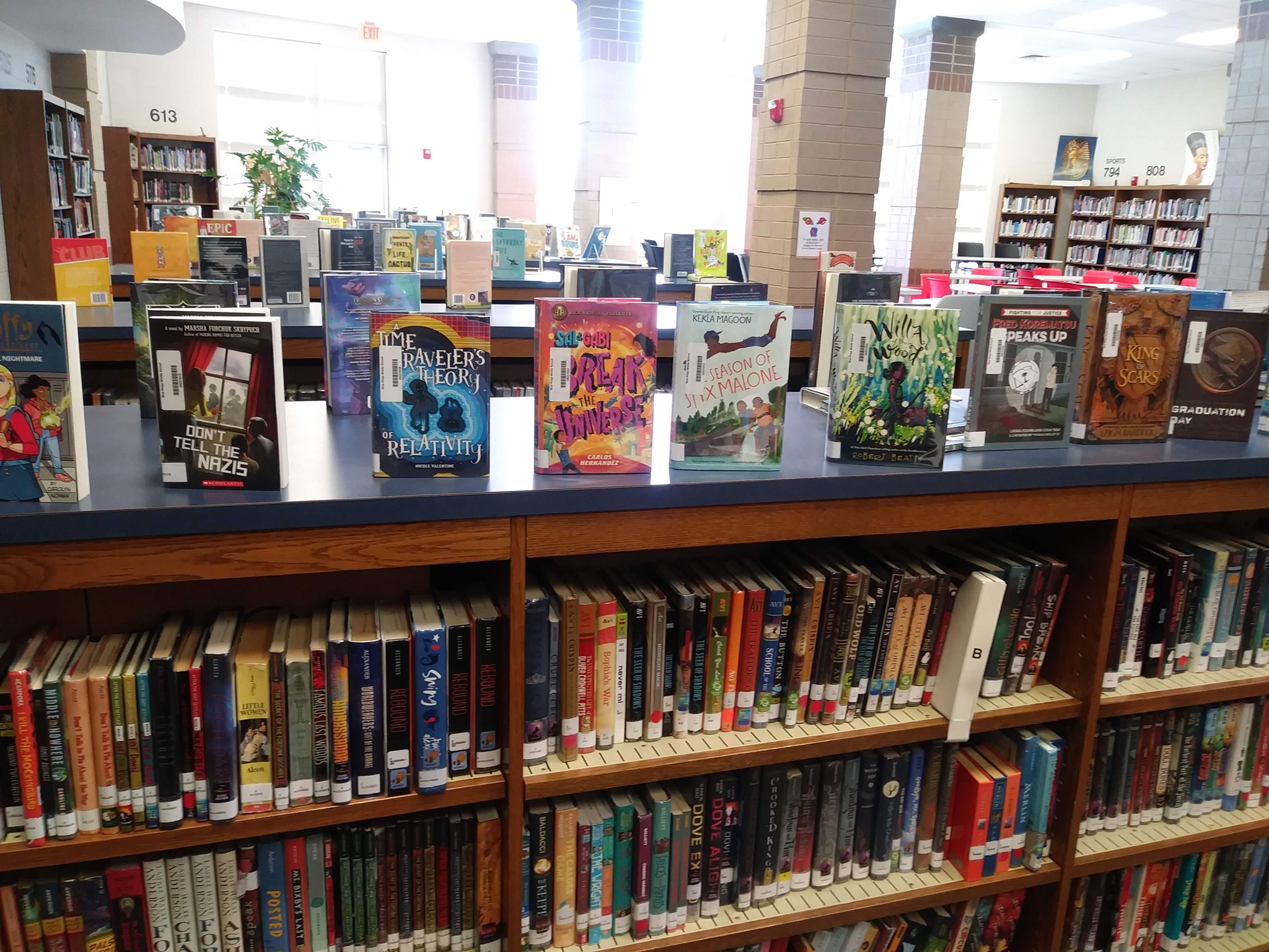 Blue Ridge Middle School Library | Greer SC