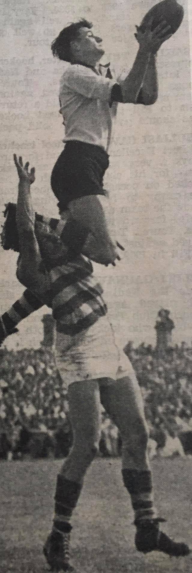 South Fremantle Bulldogs Memorabilia | Facebook