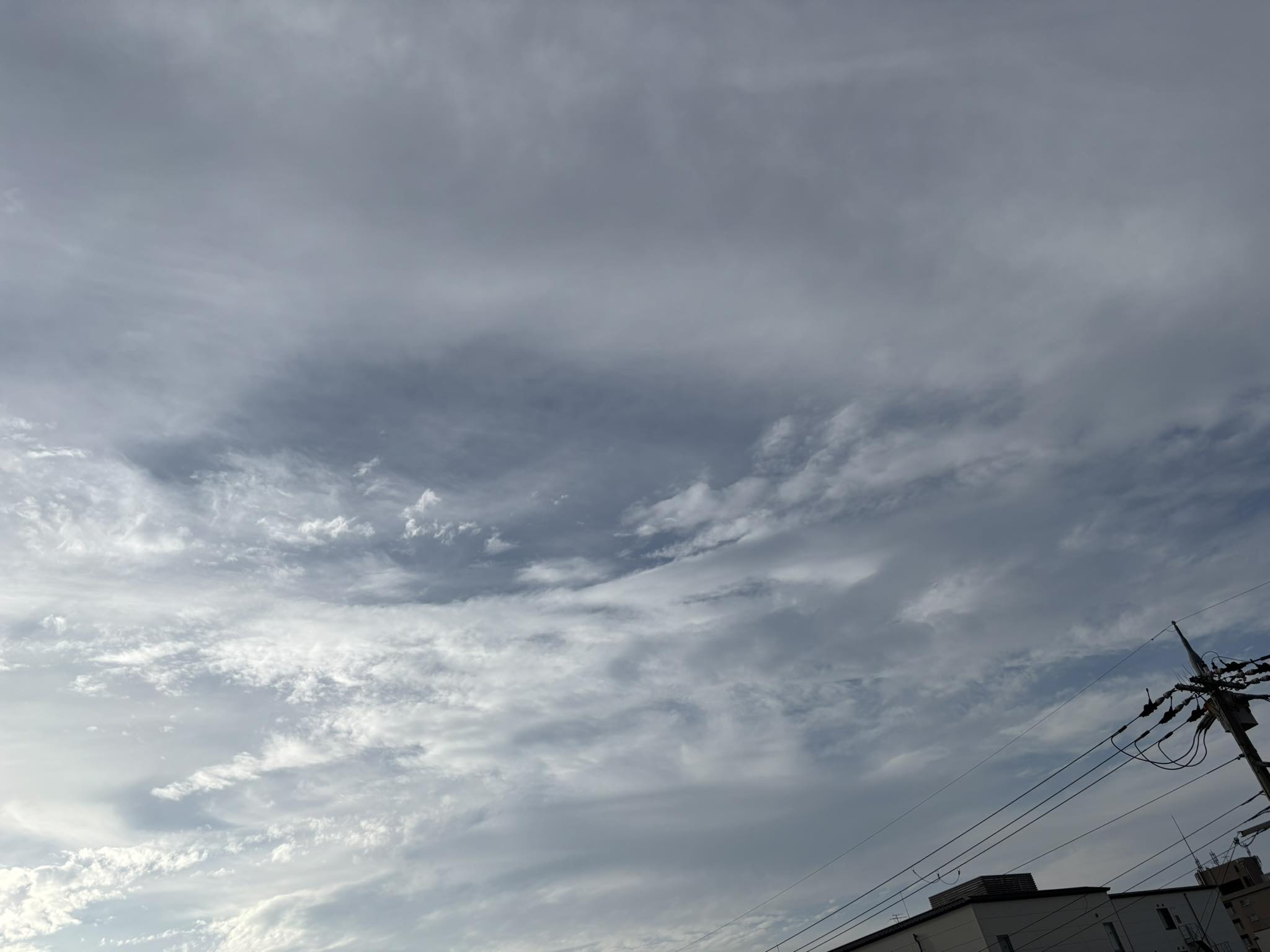 おはようございます