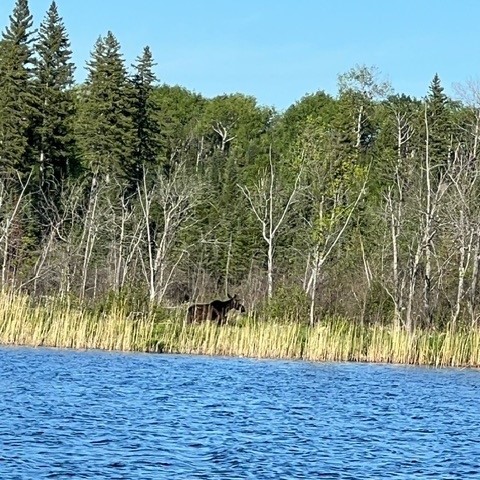 Walsten Outposts | Kenora ON