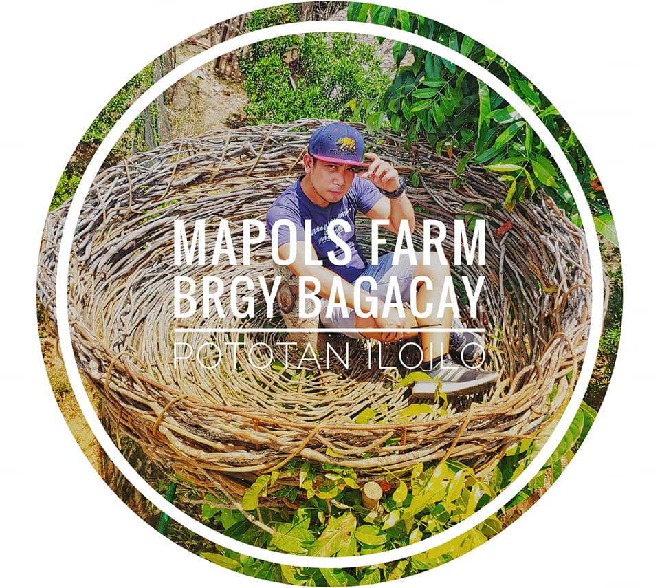 📍 MAPOLS FARM ( March 09, 2019 )... - Junito Marinado Vlog | Facebook