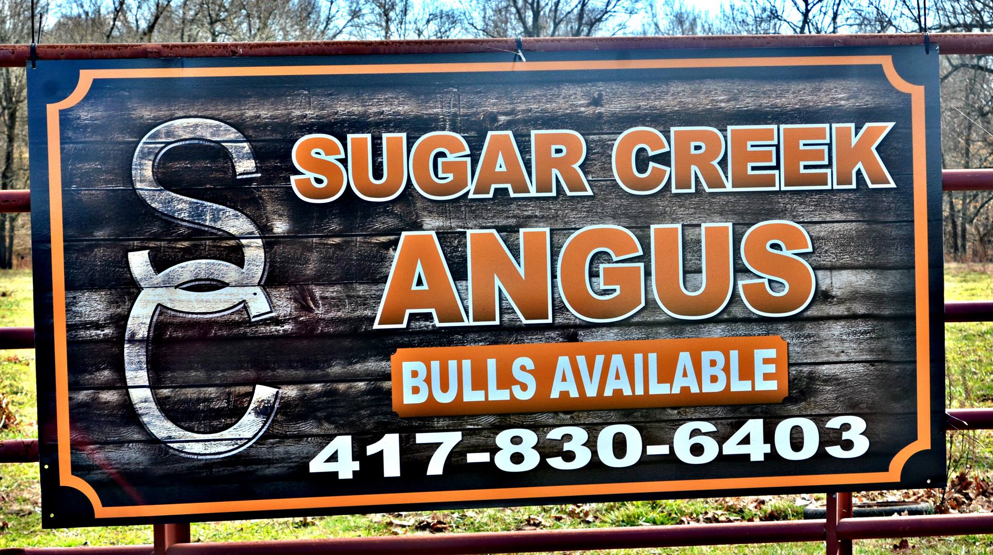 Sugar Creek Angus Ranch | Ash Grove MO