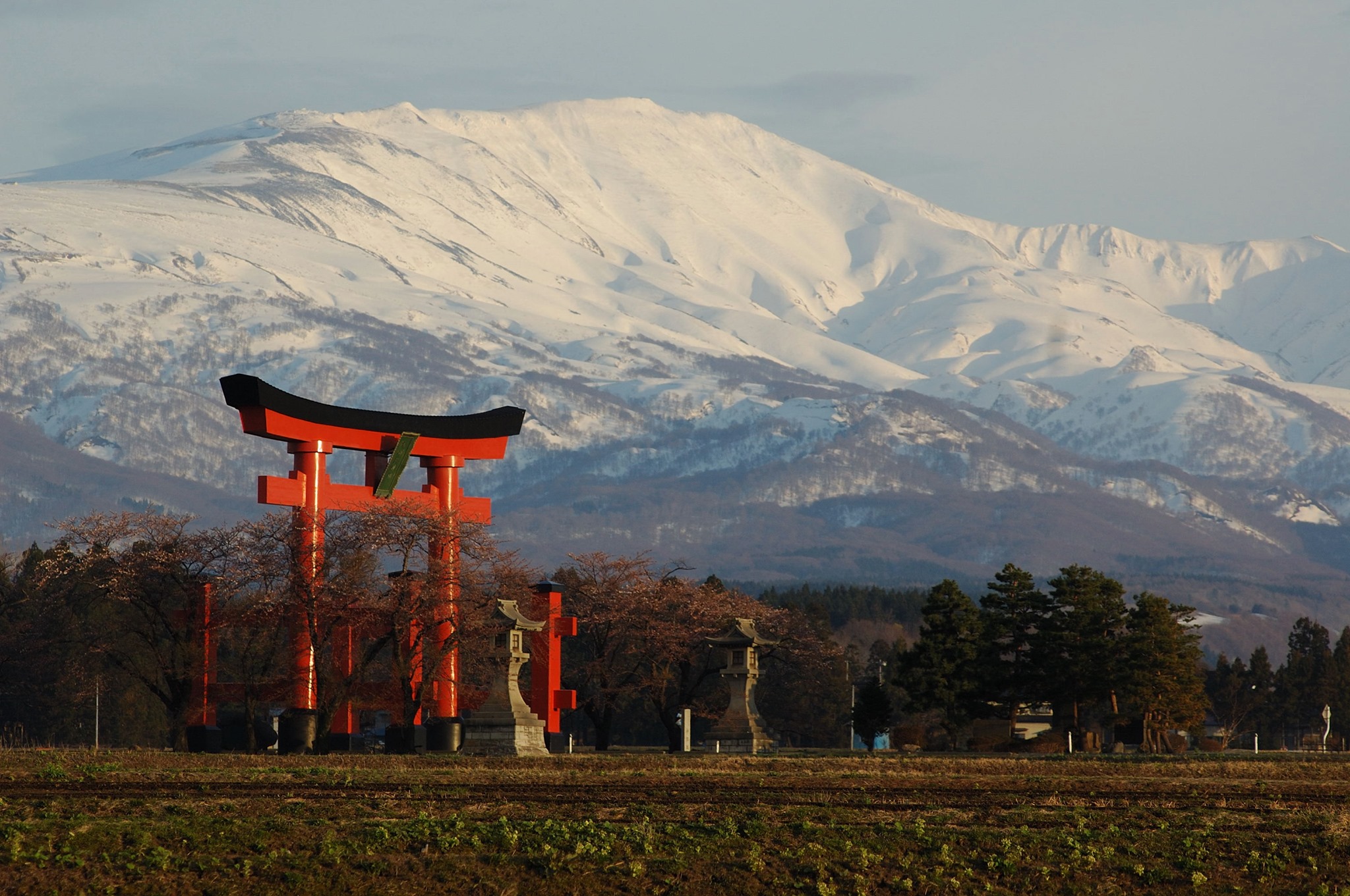 大歳神社（山口県下関市） - 【大歳神社 御鎮座836年祭／春季例大祭】 お陰様で滞りなく取り修めることが出来ました。 しかしながらまだ弁当お ...