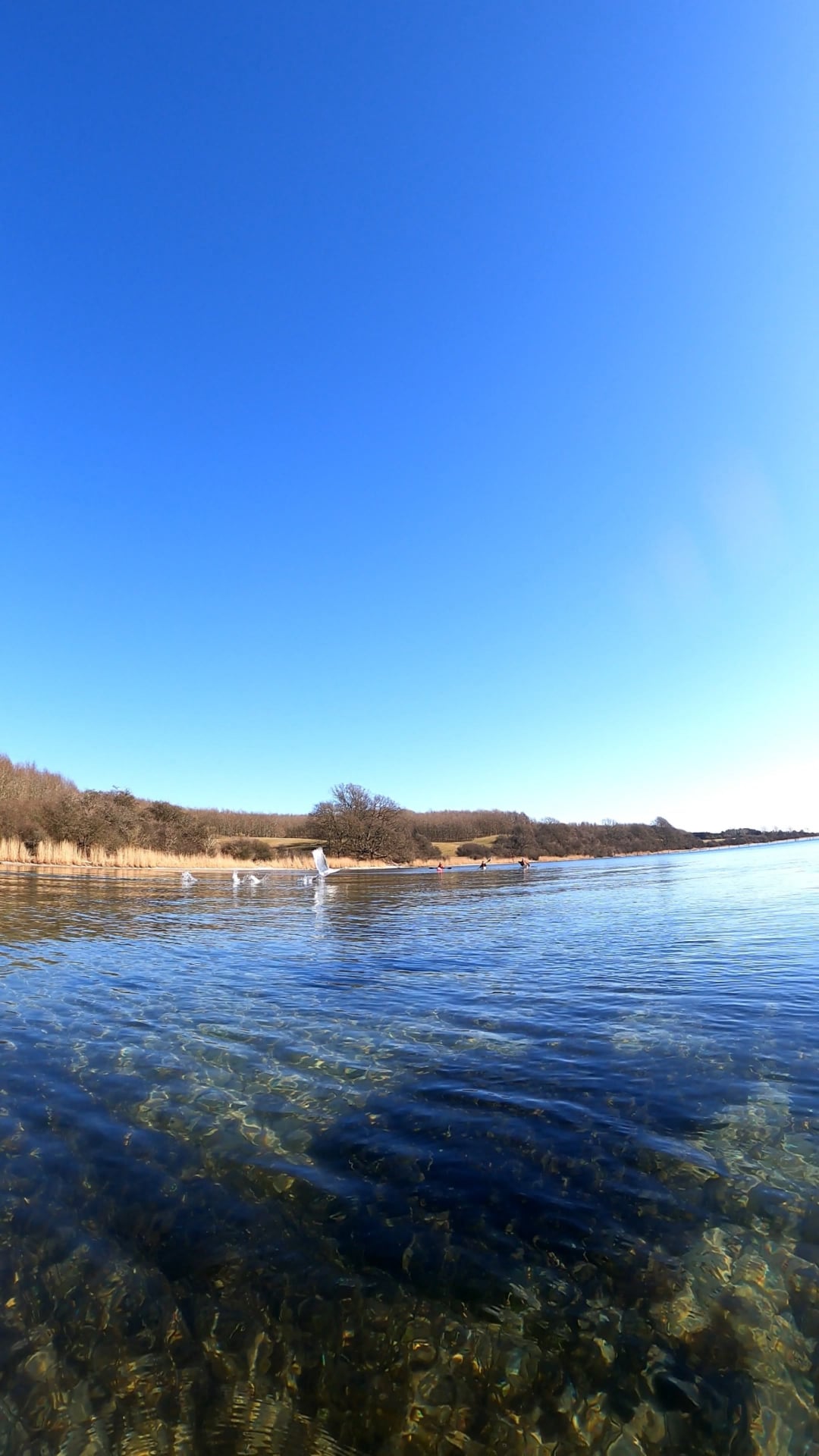 Fænø rundt med fuld solskin ☀️... - Aarhus Kano- & Kajakklub | Facebook