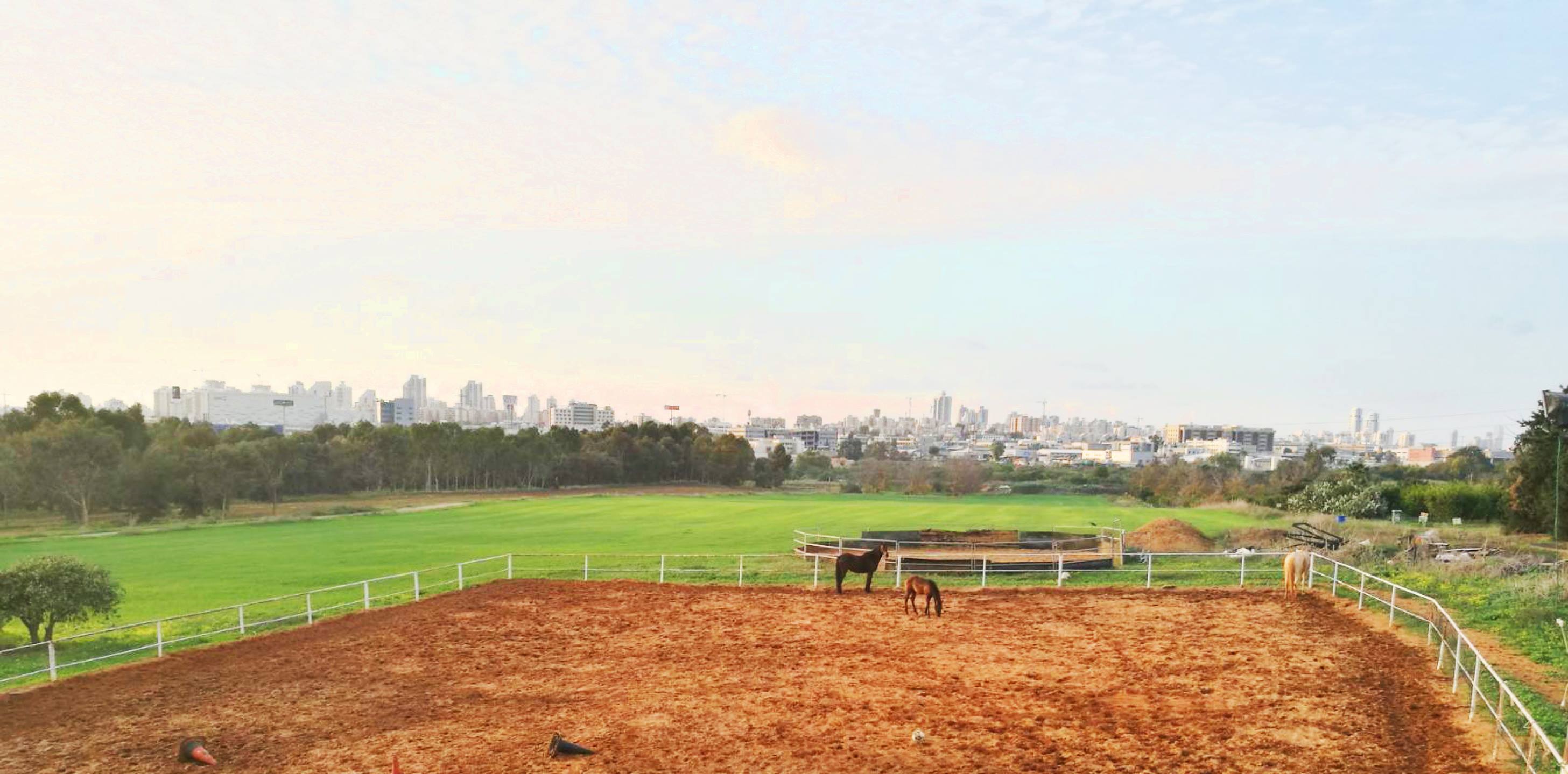 חוות רפאל | Kfar Netter