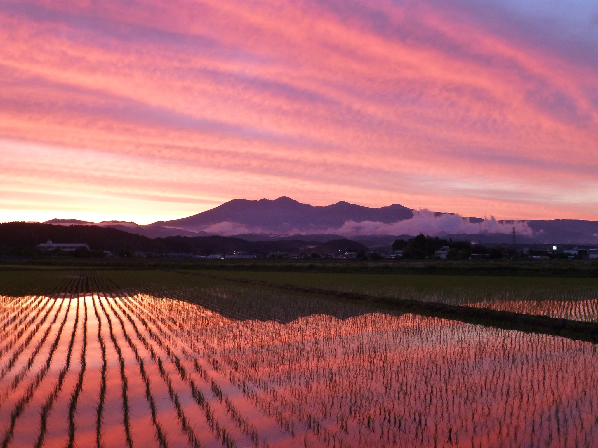矢板市観光協会 Yaita Tourism... - 矢板市観光協会 Yaita Tourism Association