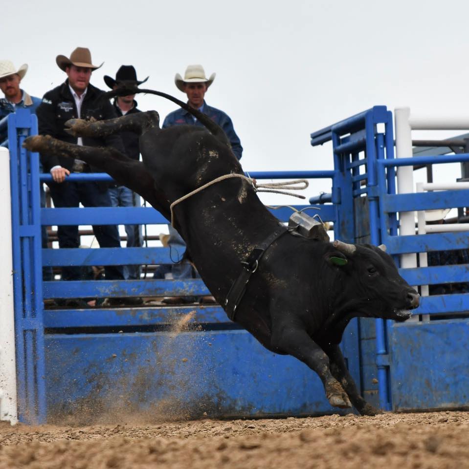 Rafter KL Bucking Bulls | Prague OK