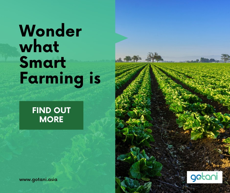 GoTani Smart Farming Solutions