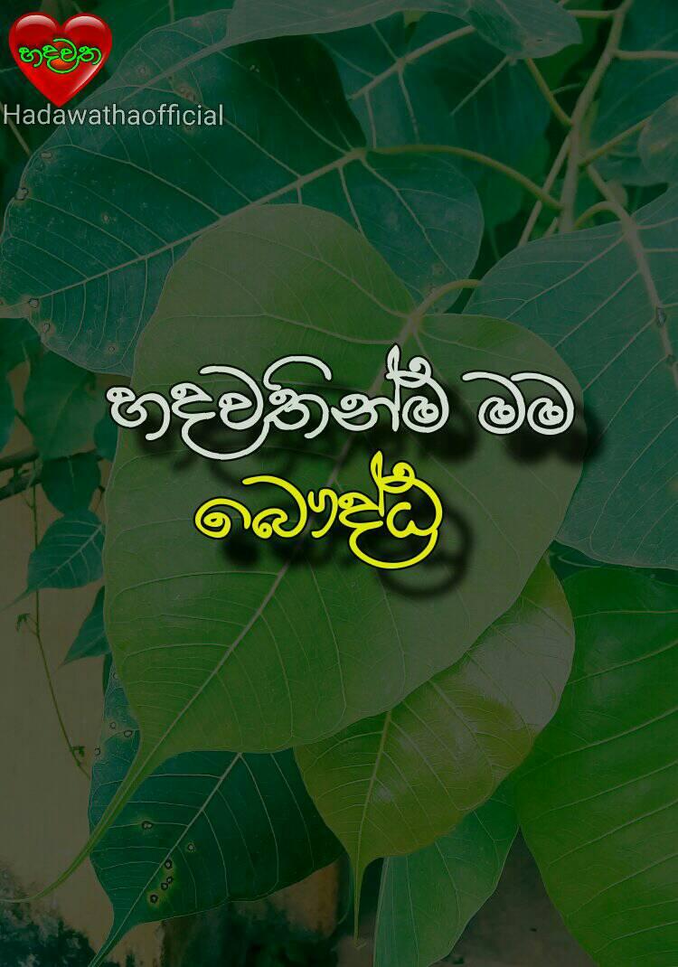 Hadawatha-හදවත