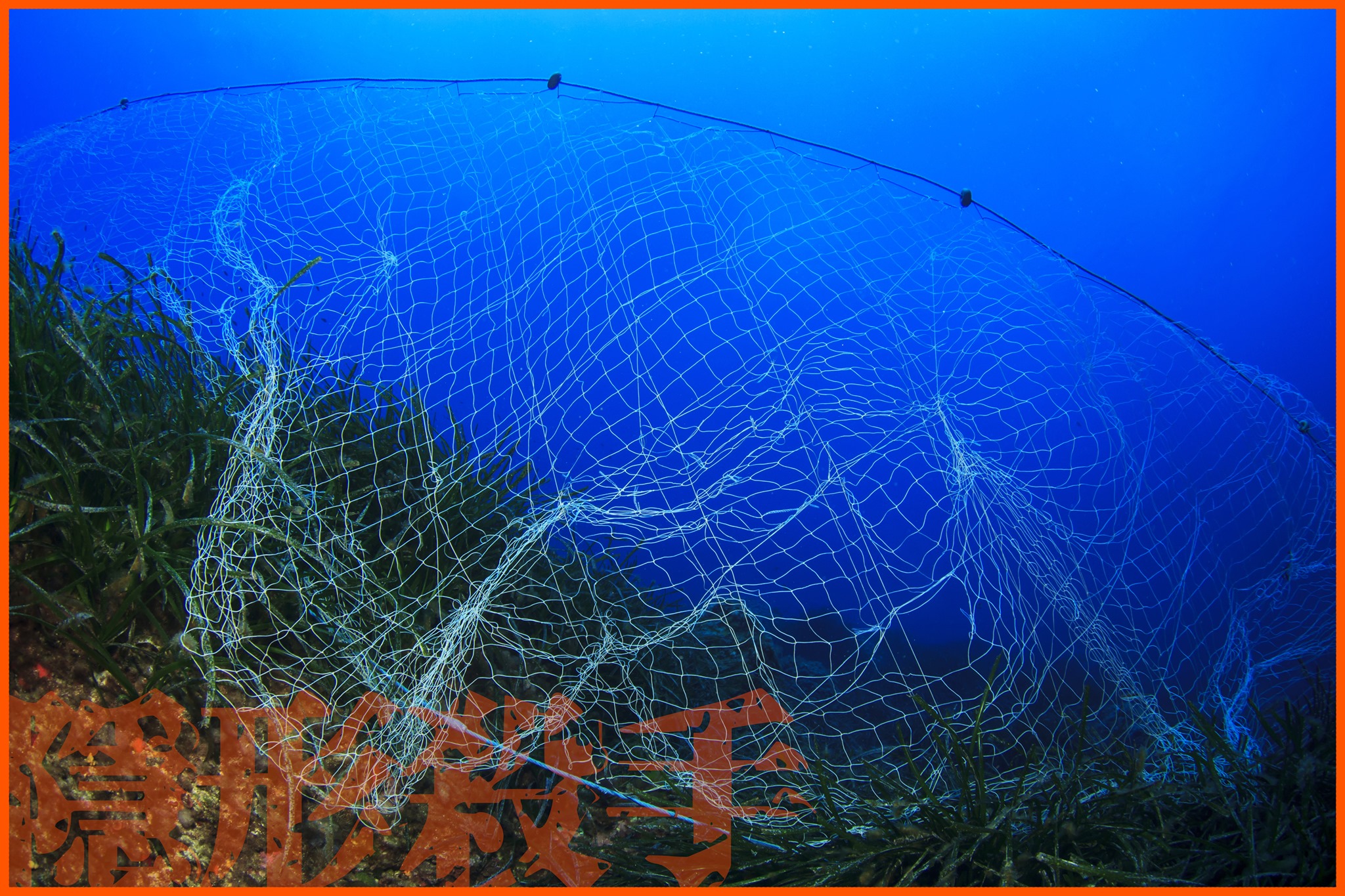 《海中的隱形殺手──刺網》 ... - 海人選品 Ocean Man Shopping | Facebook