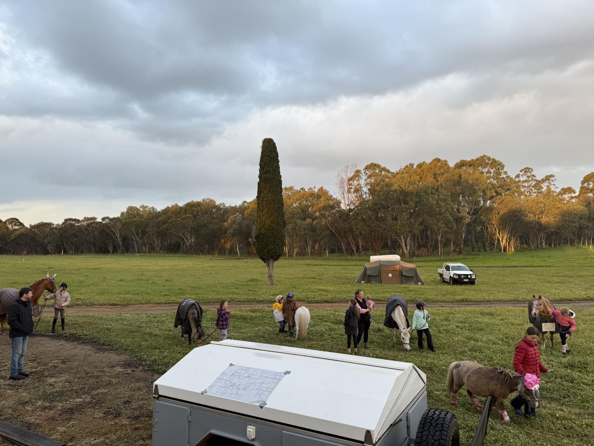 Mobrup Riding School | Facebook
