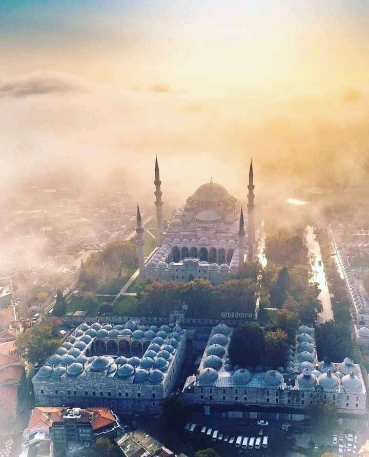 Abdul Toheed | Multan