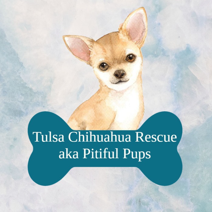 Tulsa Chihuahua Rescue aka Pitiful Pups, Inc.