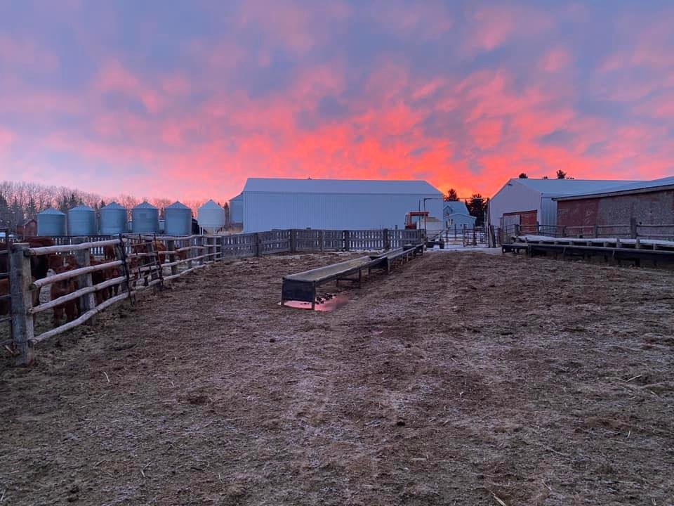 Mebs Ranch Ltd. | Broadview SK