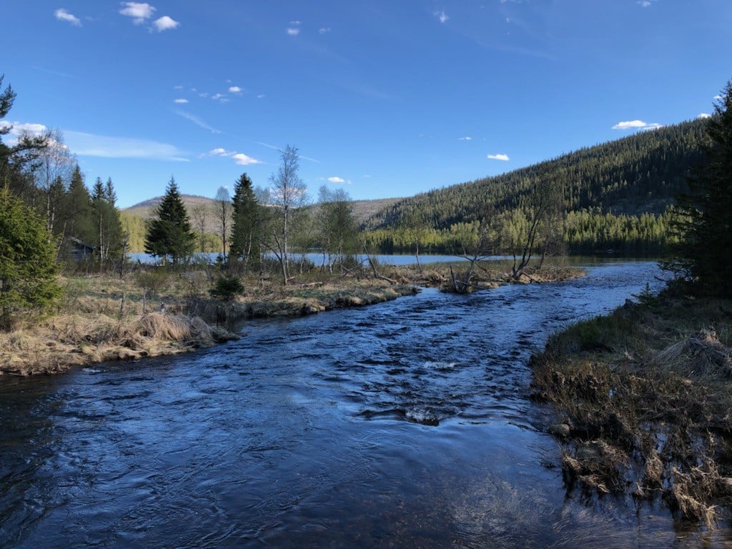 Ringebu fjellstyre added a new photo. - Ringebu fjellstyre