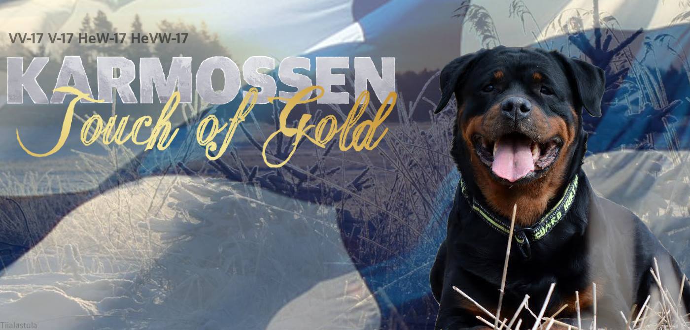 Karmossen Rottweilers
