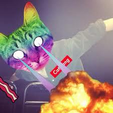 CatWang