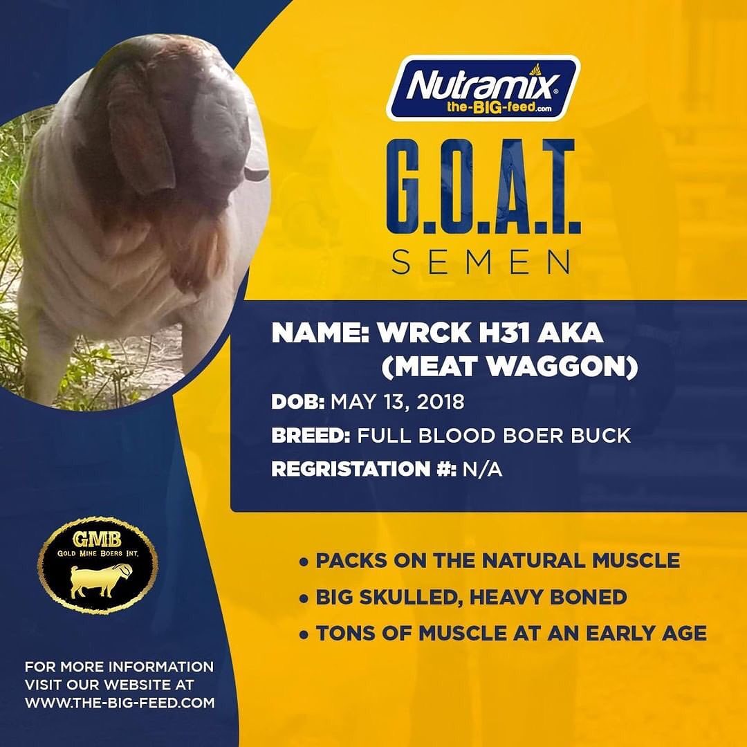 Nutramix - 💪🏾🐐 To improve your herd, you need the G.O.A.T!...