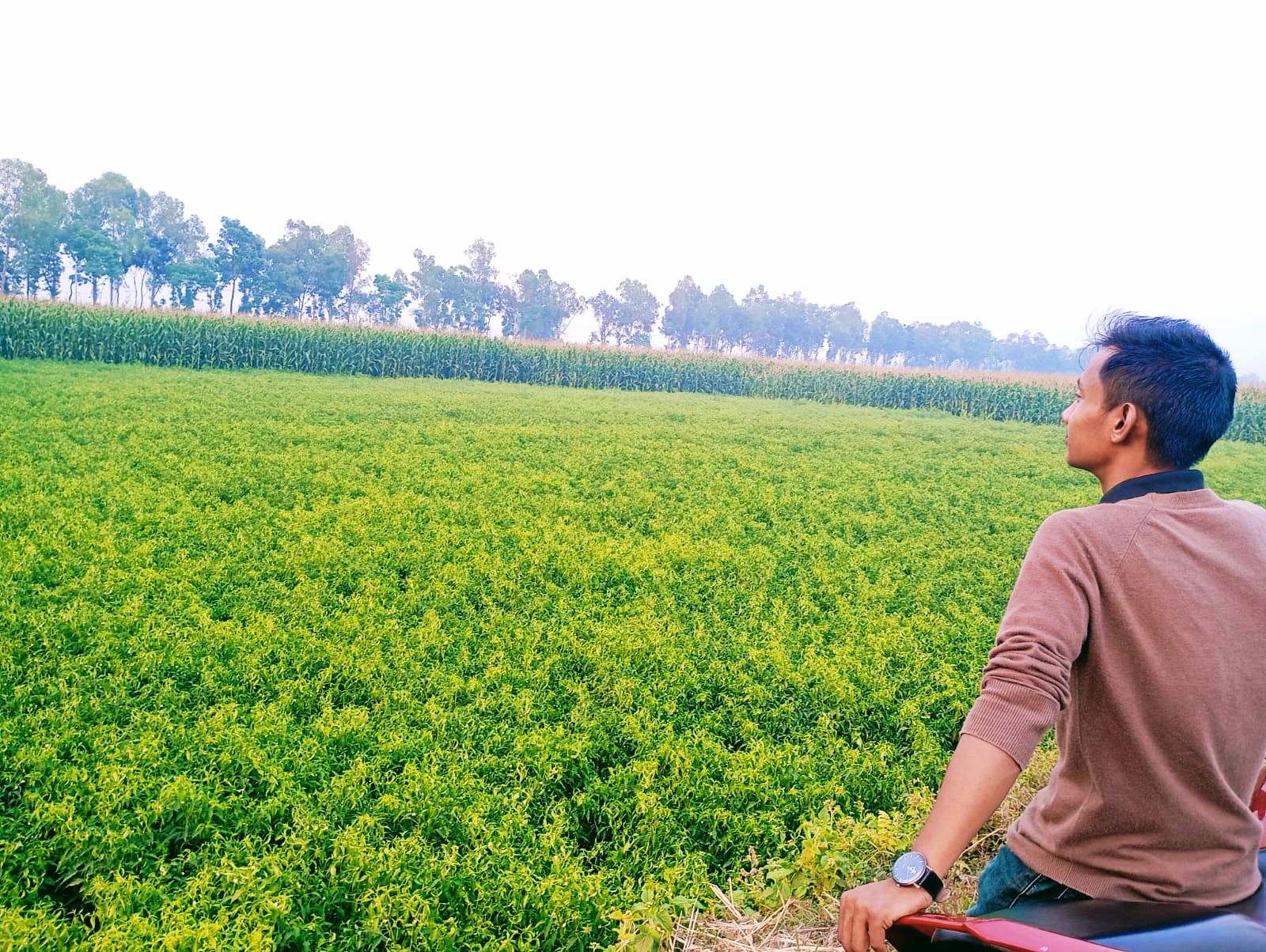 Main Uddin