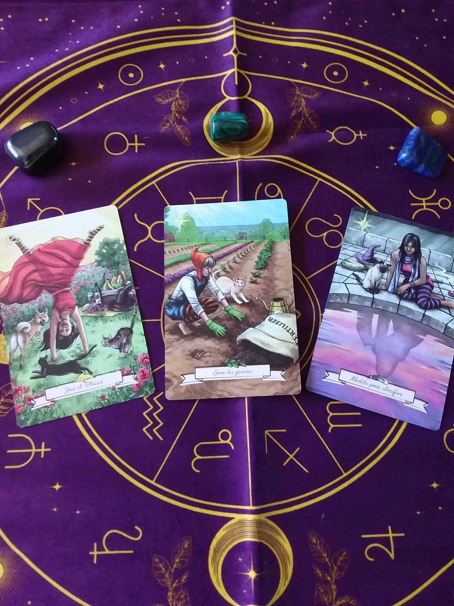 Boite de tarot ( livre + 44 cartes divinatoires) Prix : 45 dinars ( ce tarot est vendu