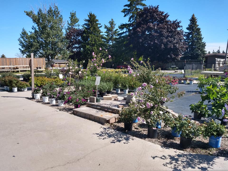 Rekker's Garden Centre Bowmanville, Ontario Facebook