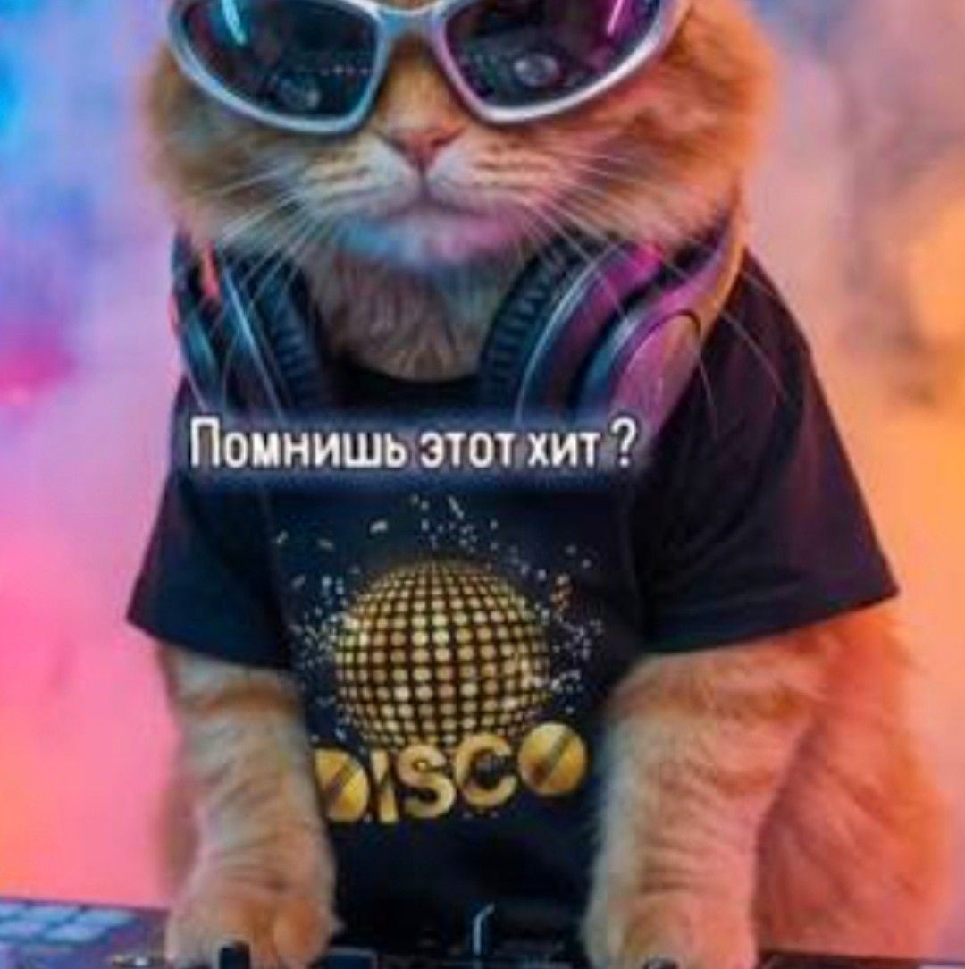 Таня Корягина on Reels