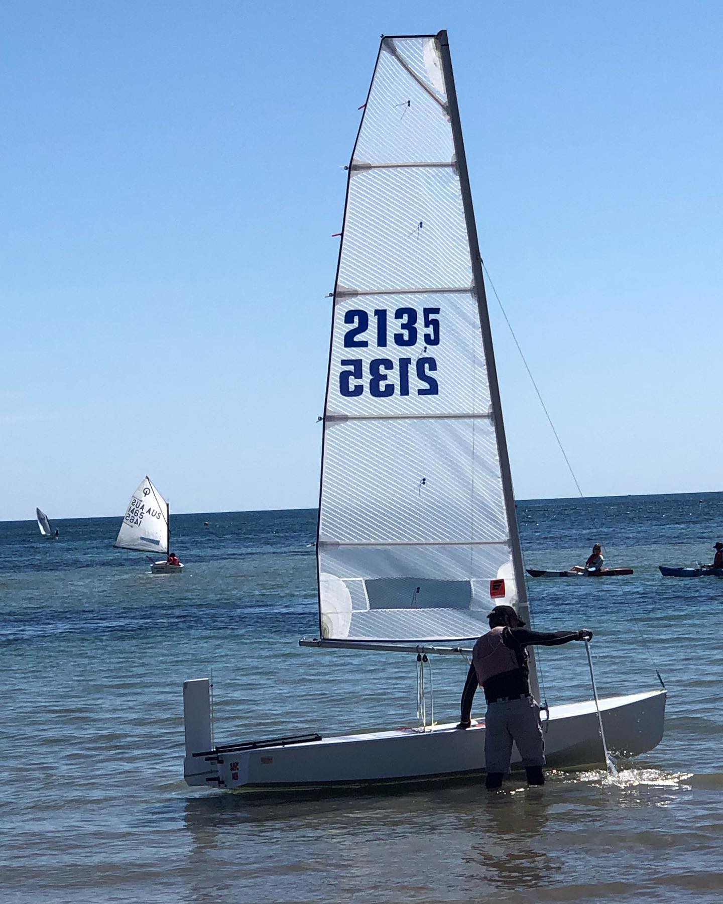 Element Sails - Here to prove we don’t just do cat mains.... | Facebook