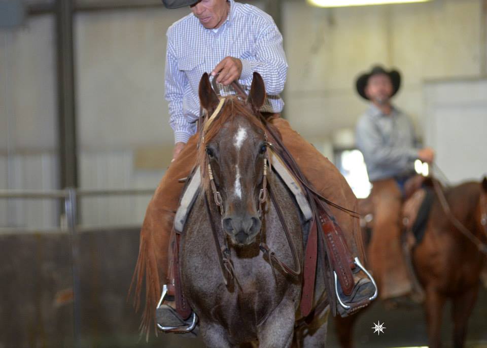 Diamond 6 Ranch | Wilder ID