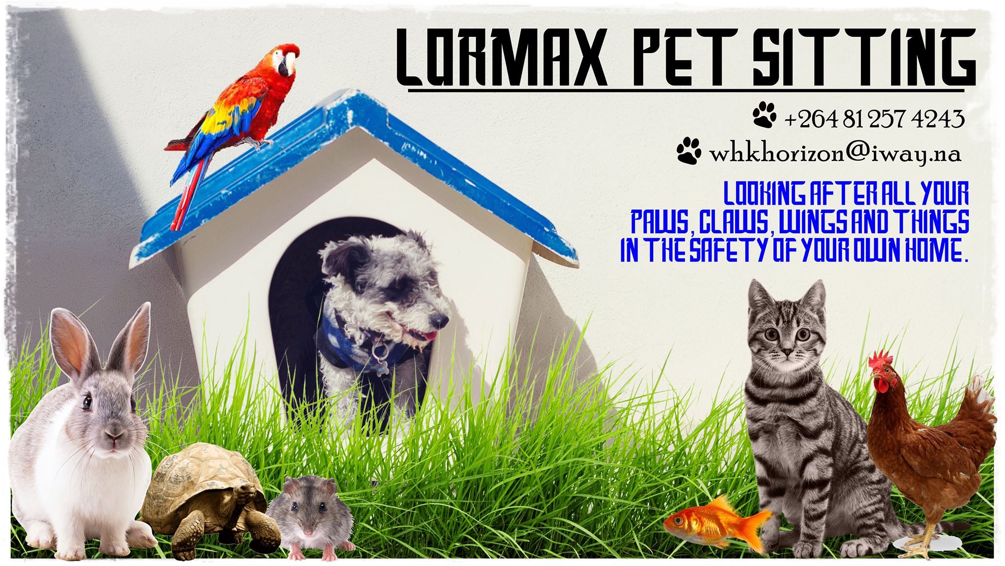 LorMax Pet Sitting Windhoek | Windhoek
