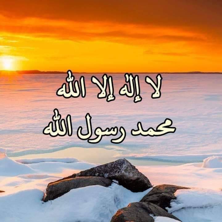 Taimoor - #1مجبوری #2مستی #3ناانصافی\#زيادتی #1جب انسان کو مجبور کیا ...