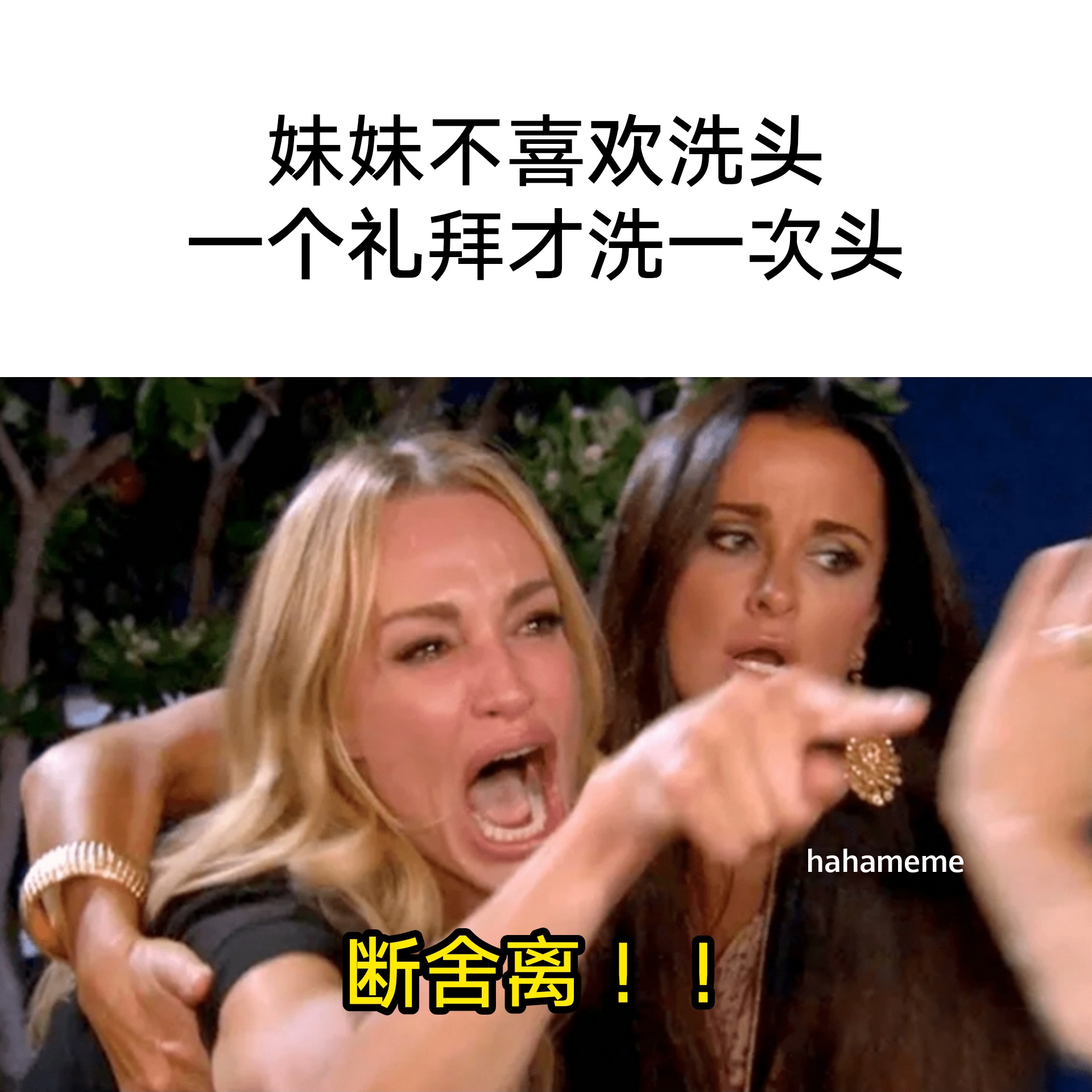 蹭热度的hahameme - 断 舍 离