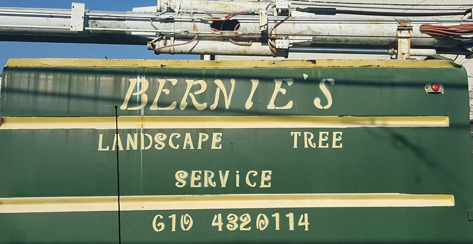 Bernie's tree service | Allentown PA