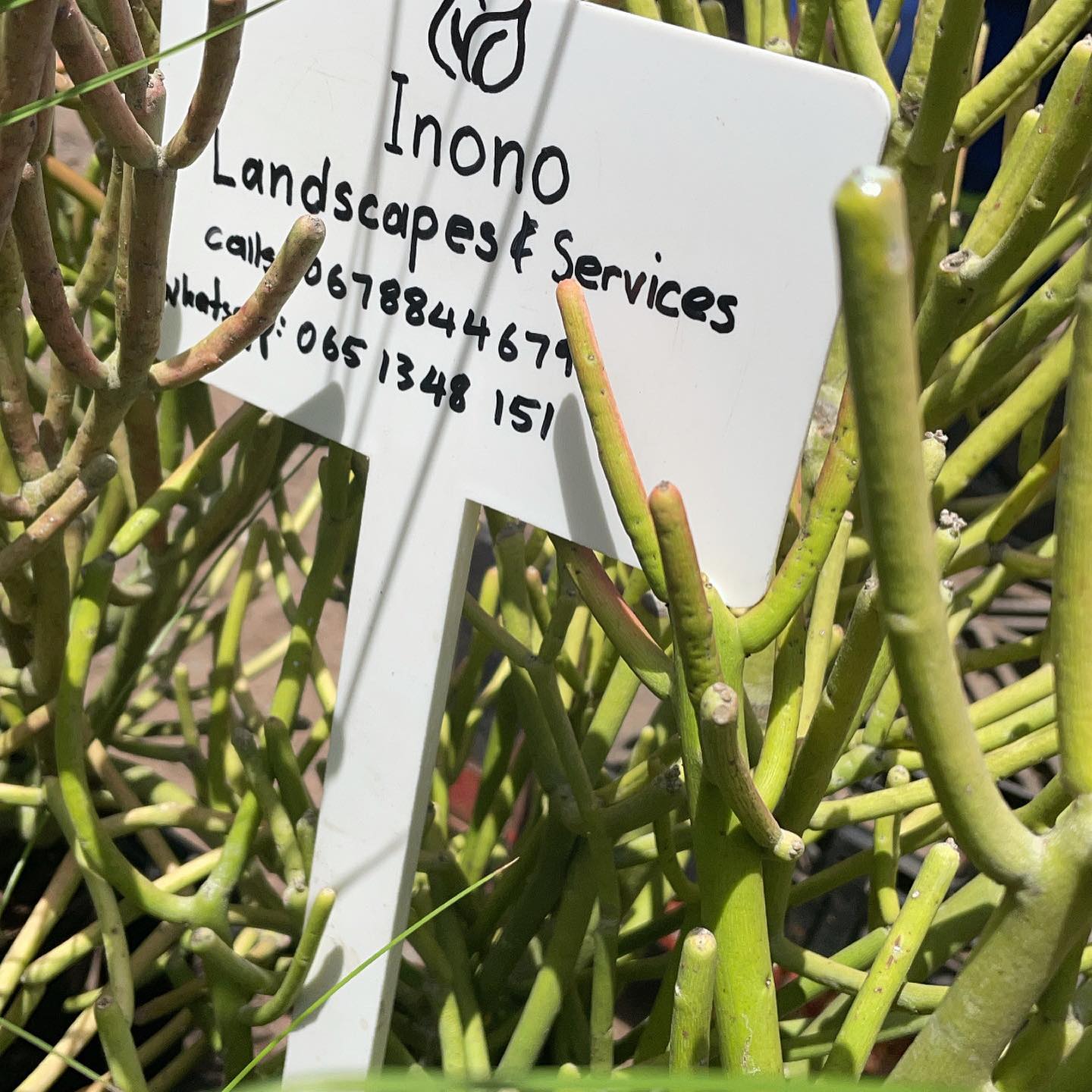 inono_landscapes_and_services