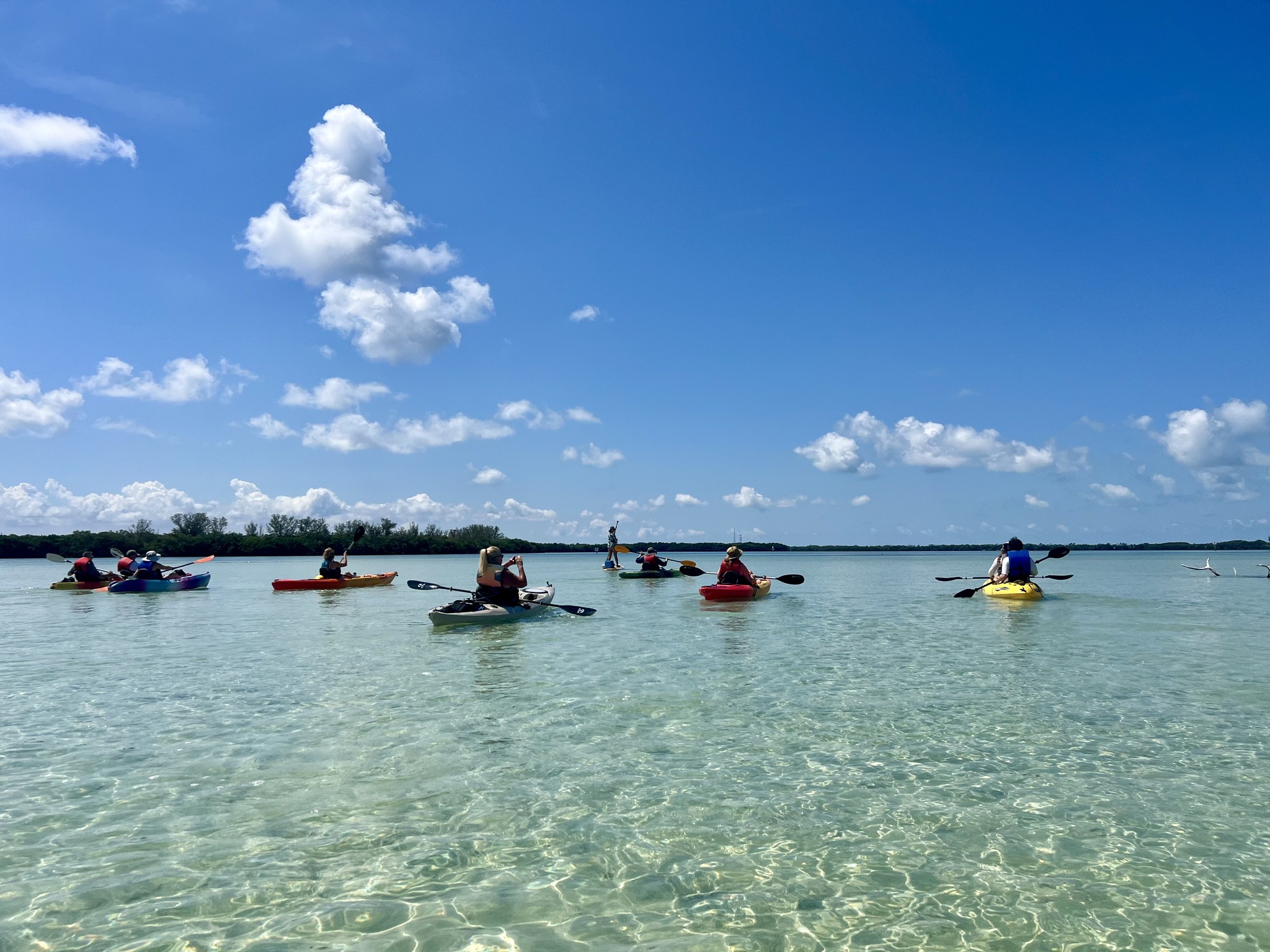 Shell Key Island Adventure