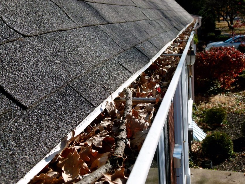 Cohe Group - 🍂 Leaves can mean blocked gutters that can lead to damage ...