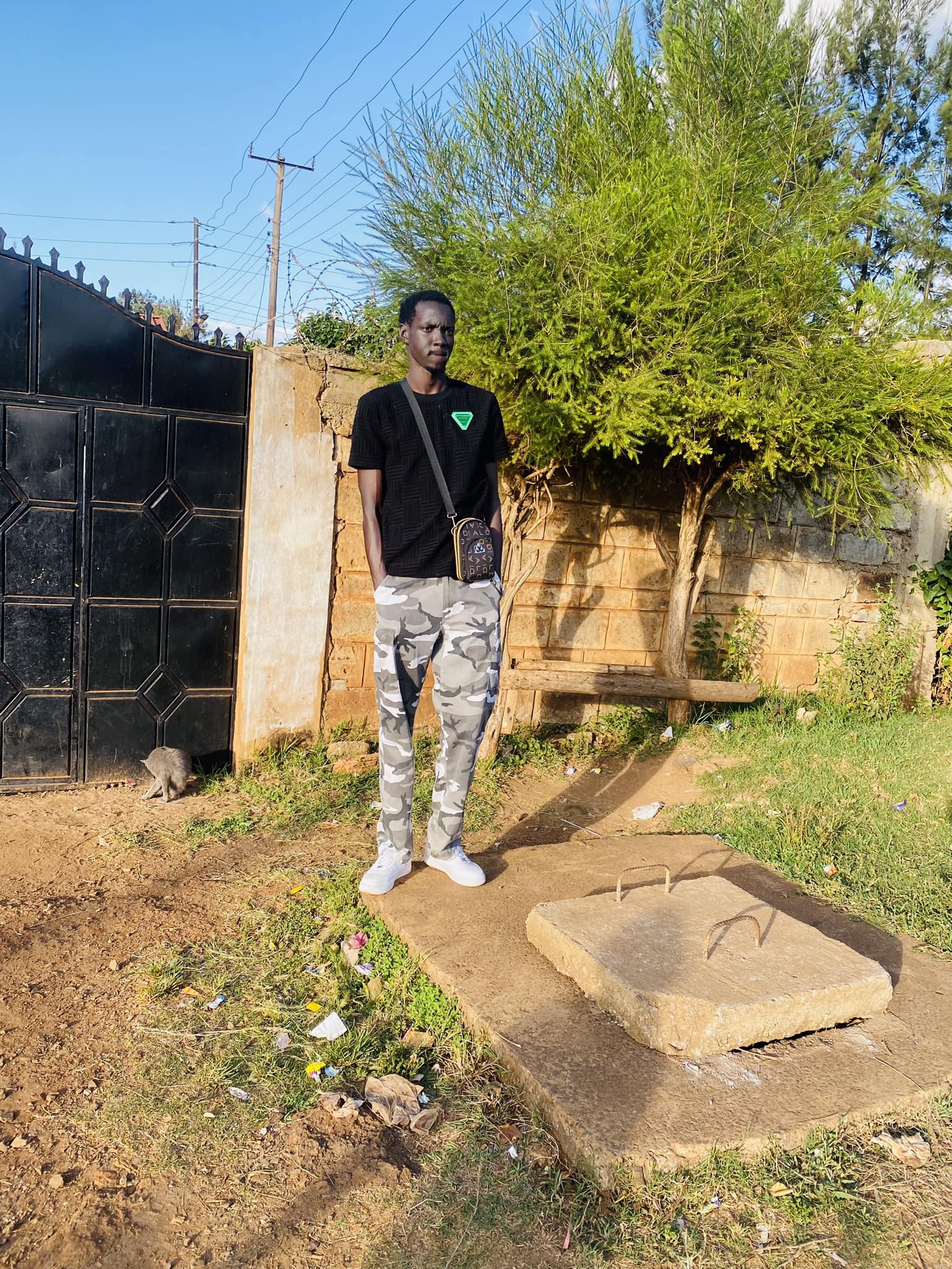 Alpha Dee music