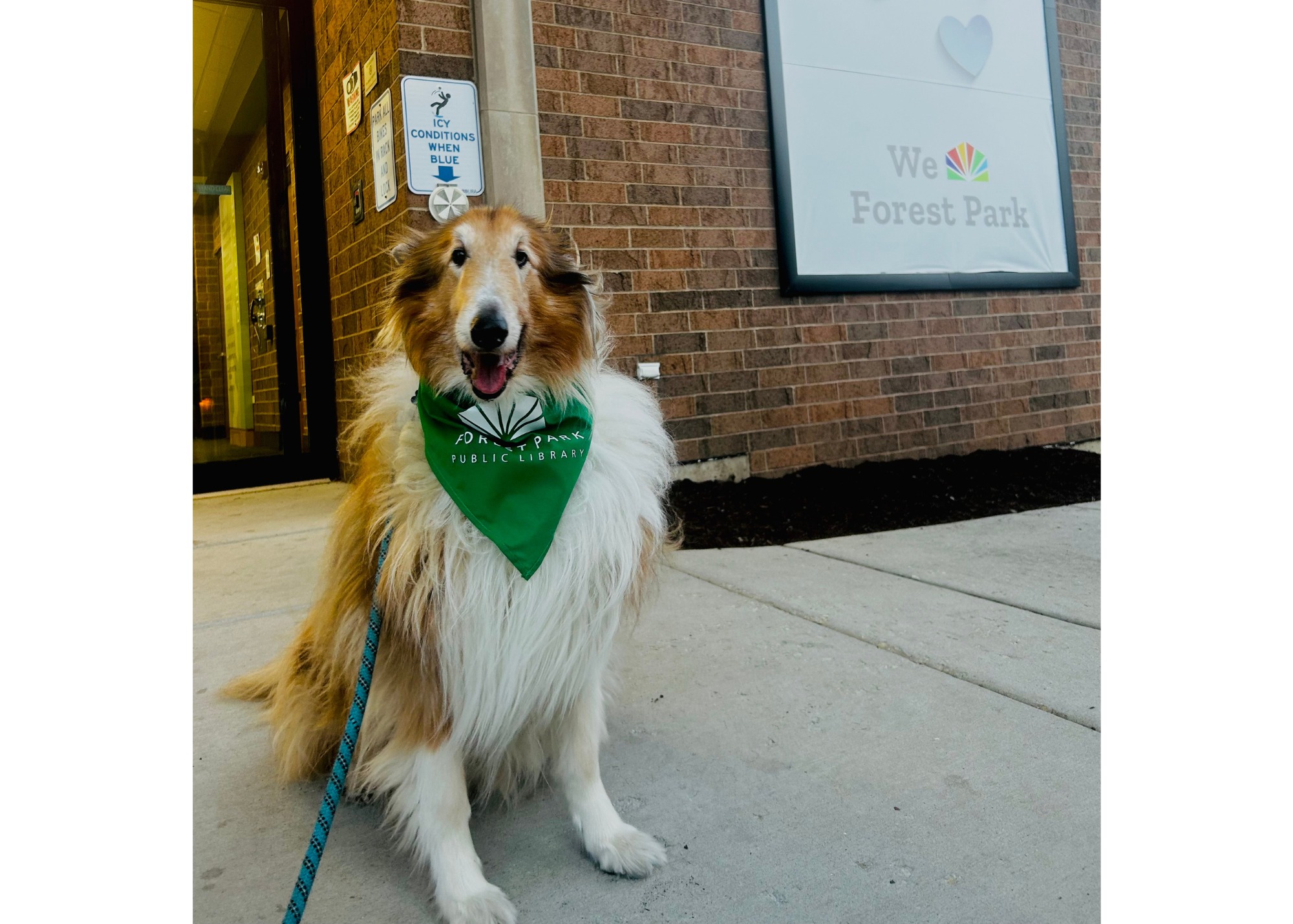 Little Free Dog Library Parade & Ribbon Cutting