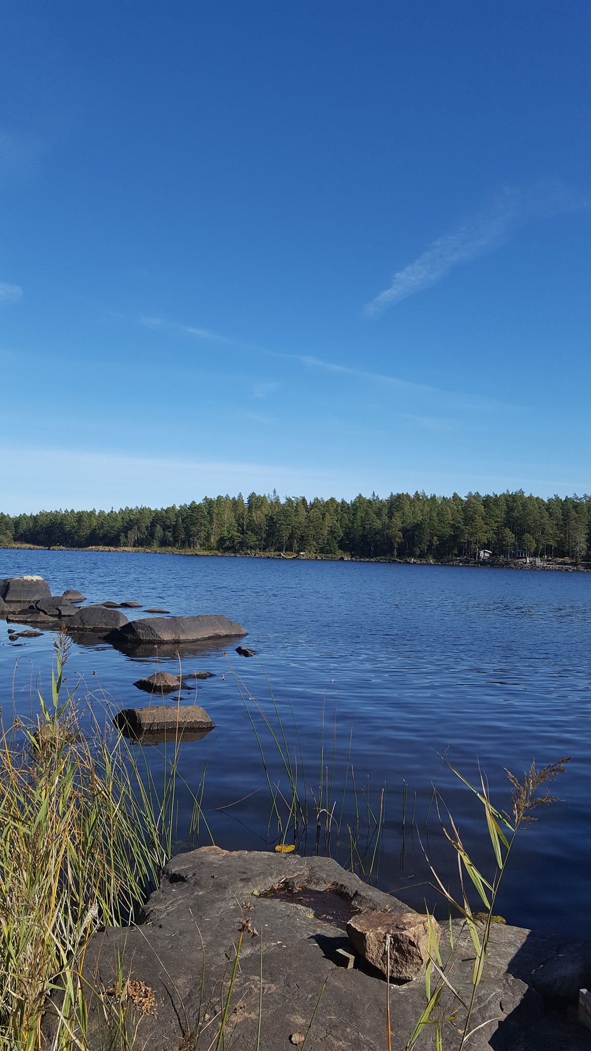 SRF Dalarna - I måndags hade den nya distriktsstyrelsen sitt första ...