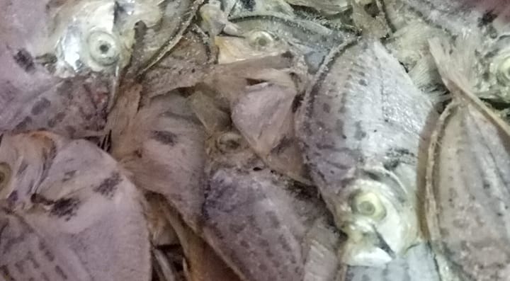 Dried fish Direct Supplier | Mabalacat