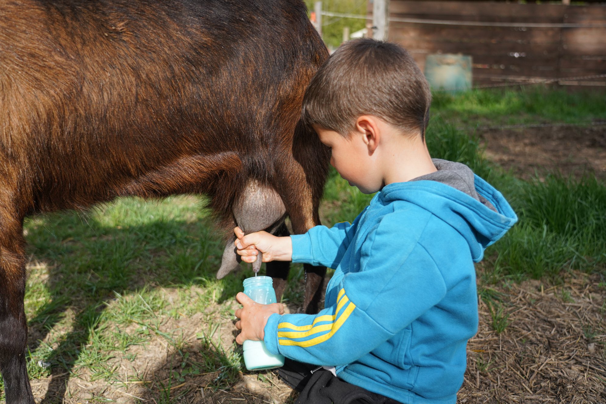 La Ferme De Briska Pédagogique Itinérante