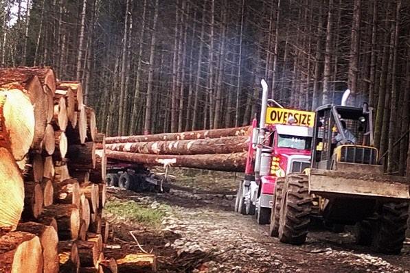 Bryant Logging | Beaver Creek OR