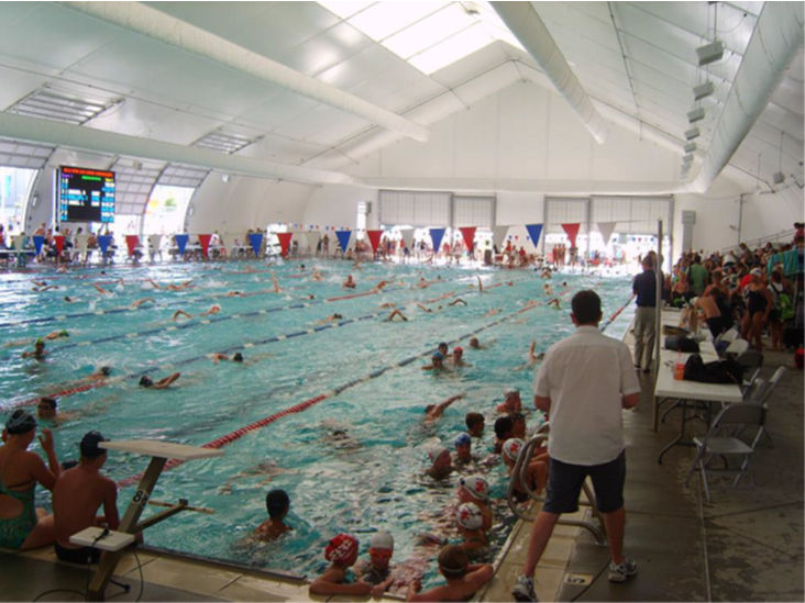 Mississauga Swimming Alumni