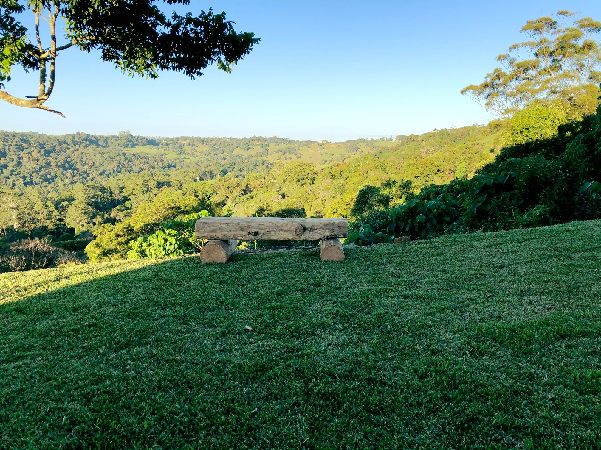🚨THE RIDGE LOG BENCH INSTAGRAM PHOTO... - The Ridge at Maleny | Facebook