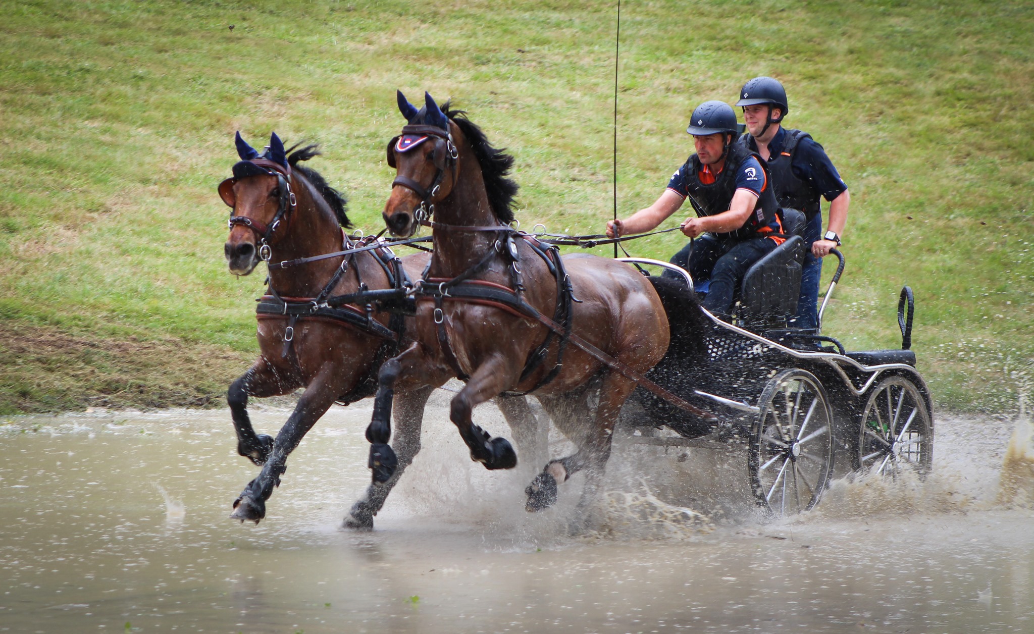 Paard & Koets - Op 12 mei vindt voor de derde maal het RAD Gala, een ...