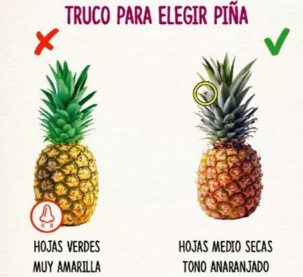 Sabes como escoger la #piña 👇🏻👇🏻👇🏻👇🏻 - VIVRI Elina Landa