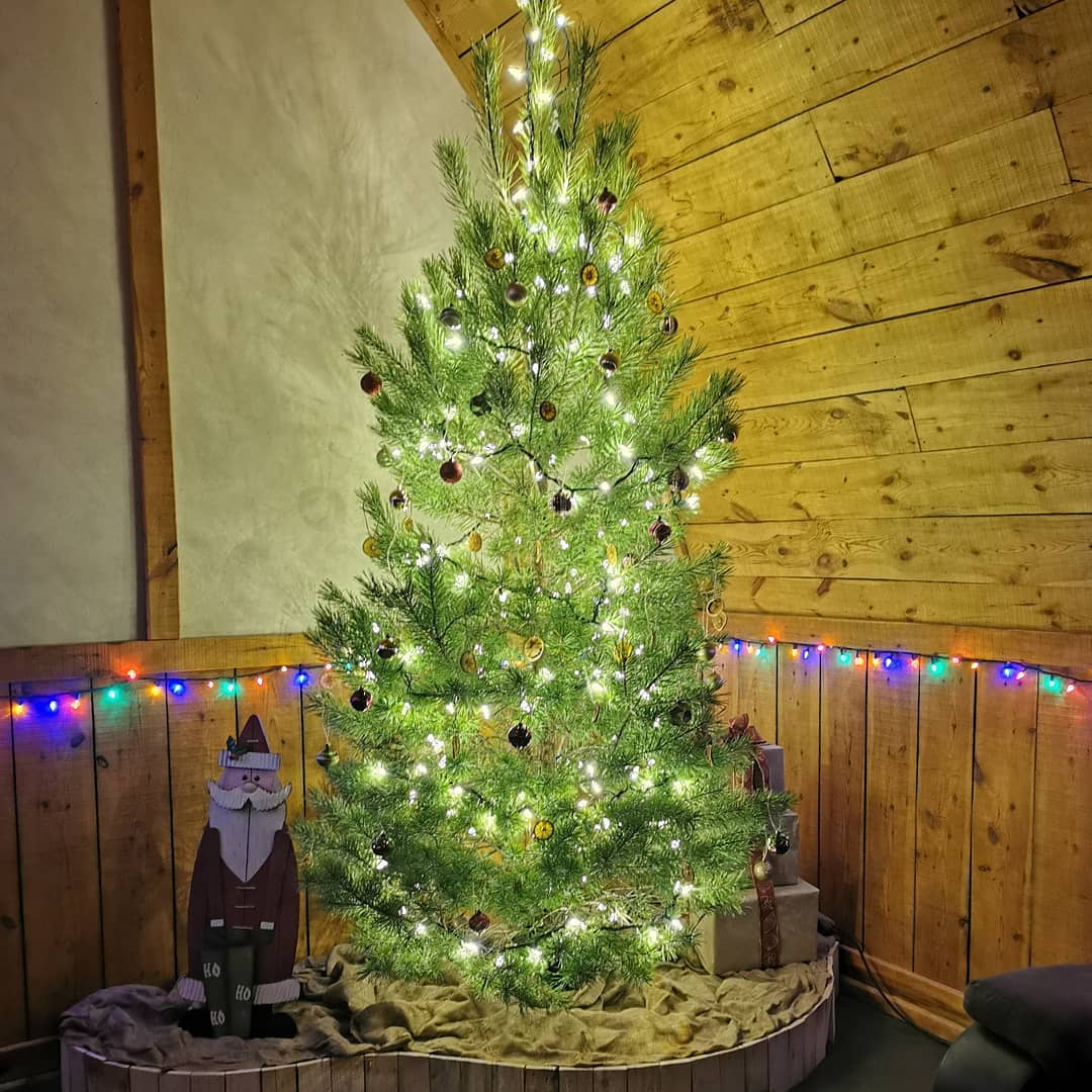 Timber Trails Tree Farm