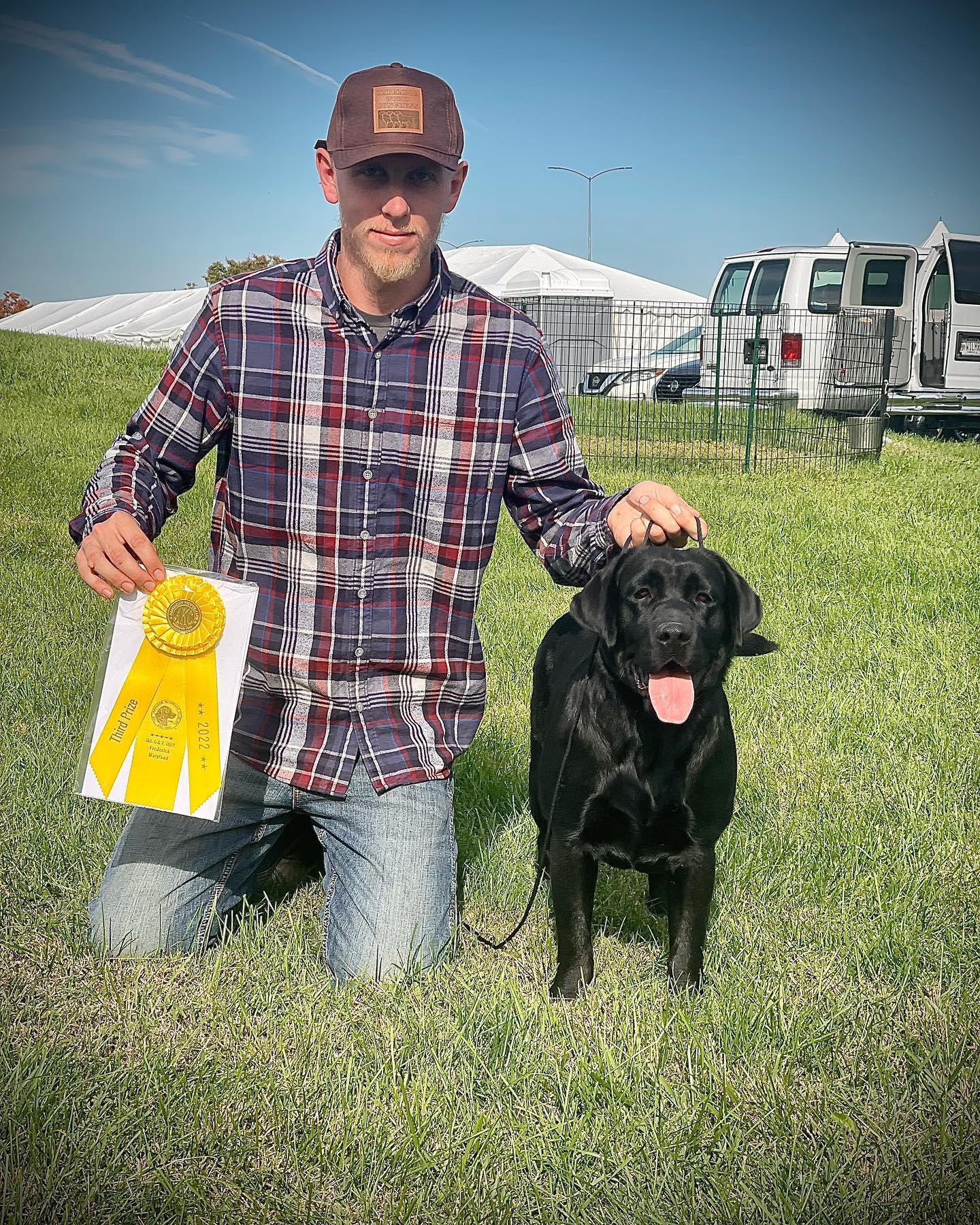 Tried & True Labradors