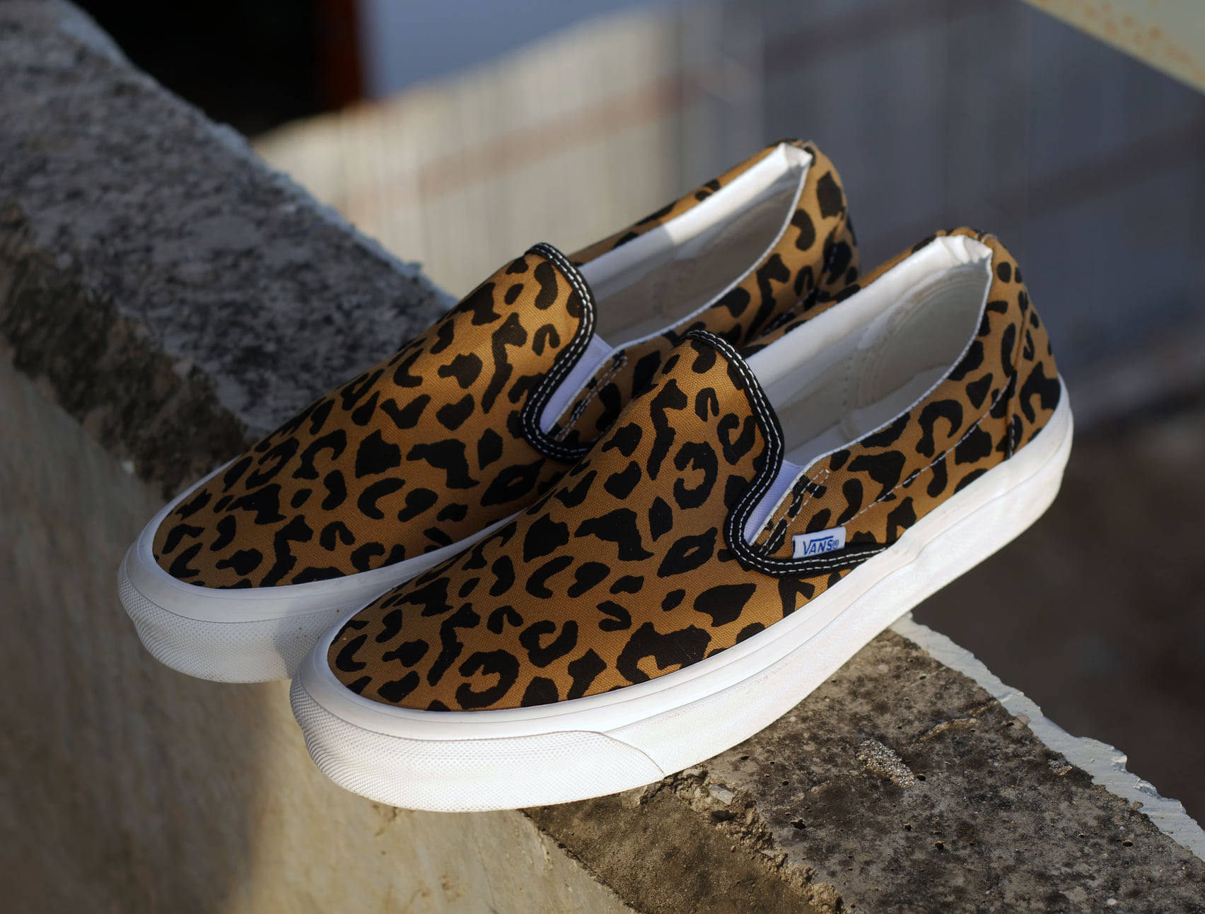 666 Rocker shop - ขายหน้าร้านนน แล้ววว Vans... | Facebook